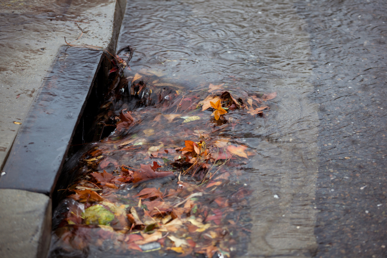 What Are The Health Risks Of Blocked Drains?